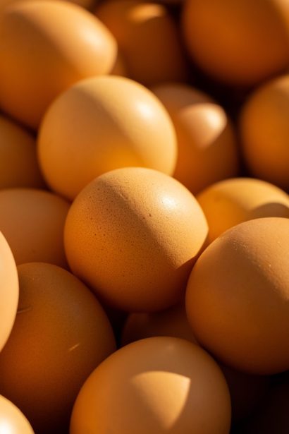 Exploring a High Protein Vegetarian Diet Plan