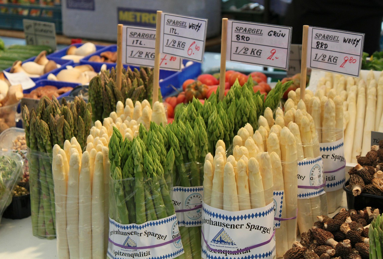 Efficient Meal Planning Tips for Busy Families: Save Time and Eat Well
